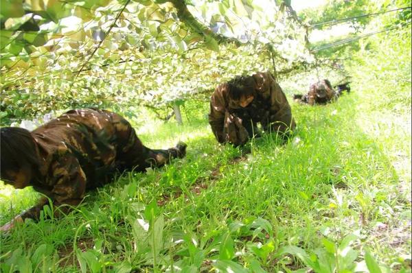 乾港集團,乾港官網(wǎng),乾港網(wǎng)絡(luò),室內(nèi)空氣凈化公司